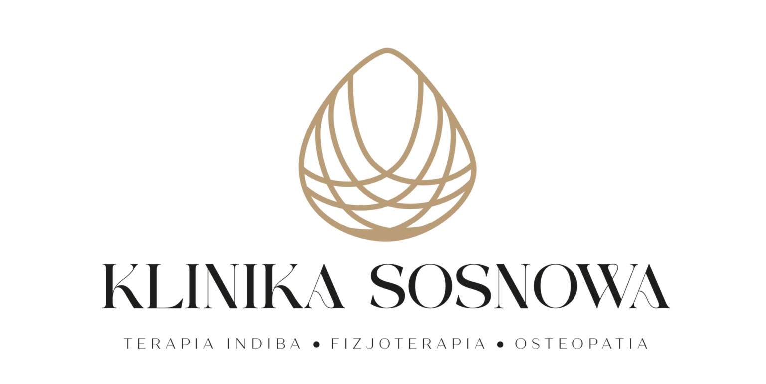 LOGO SOSNOWA WYBRANY bez tla Obszar roboczy 1 1536x1536